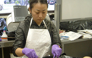 解剖実習の風景